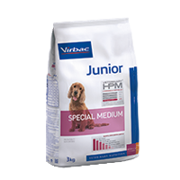 JUNIOR Dog Special Medium - Razas medianas y grandes